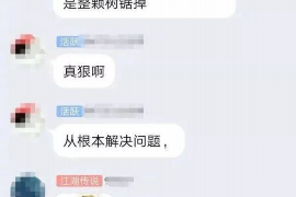 萍乡债务清欠服务